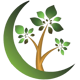 Mendoza Landscaping